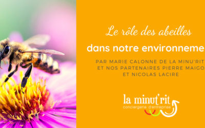 Le rôle des abeilles dans notre environnement