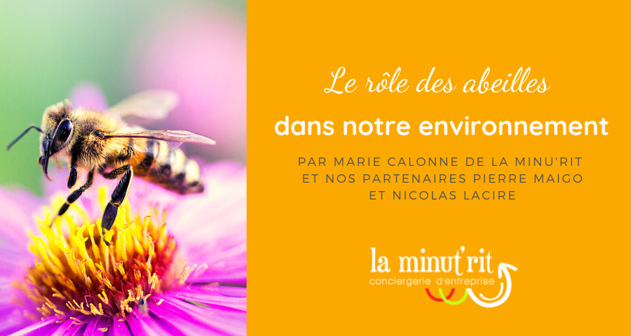 Le rôle des abeilles dans notre environnement