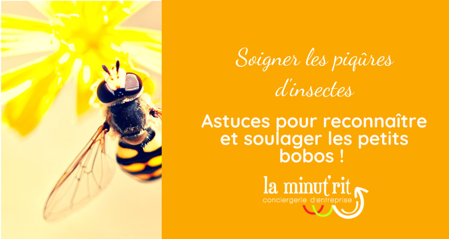 Soigner les piqûres d’insectes