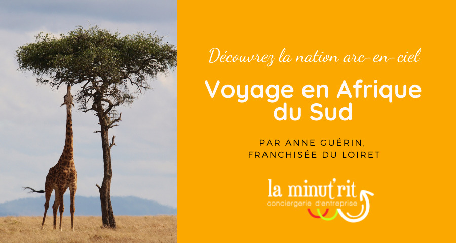 Voyage en Afrique du Sud