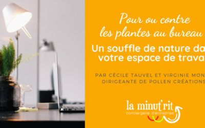 Pour ou contre les plantes au bureau ?