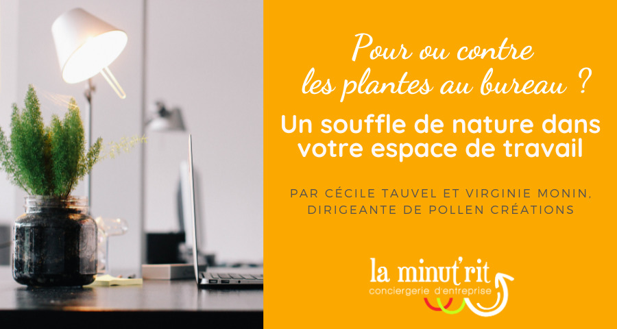 Pour ou contre les plantes au bureau ?